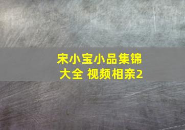 宋小宝小品集锦大全 视频相亲2